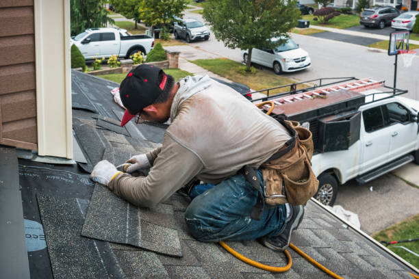 Professional Gutter Repair And Installation technician working in Buckingham, FL